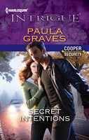 Cover image for Secret Intentions
